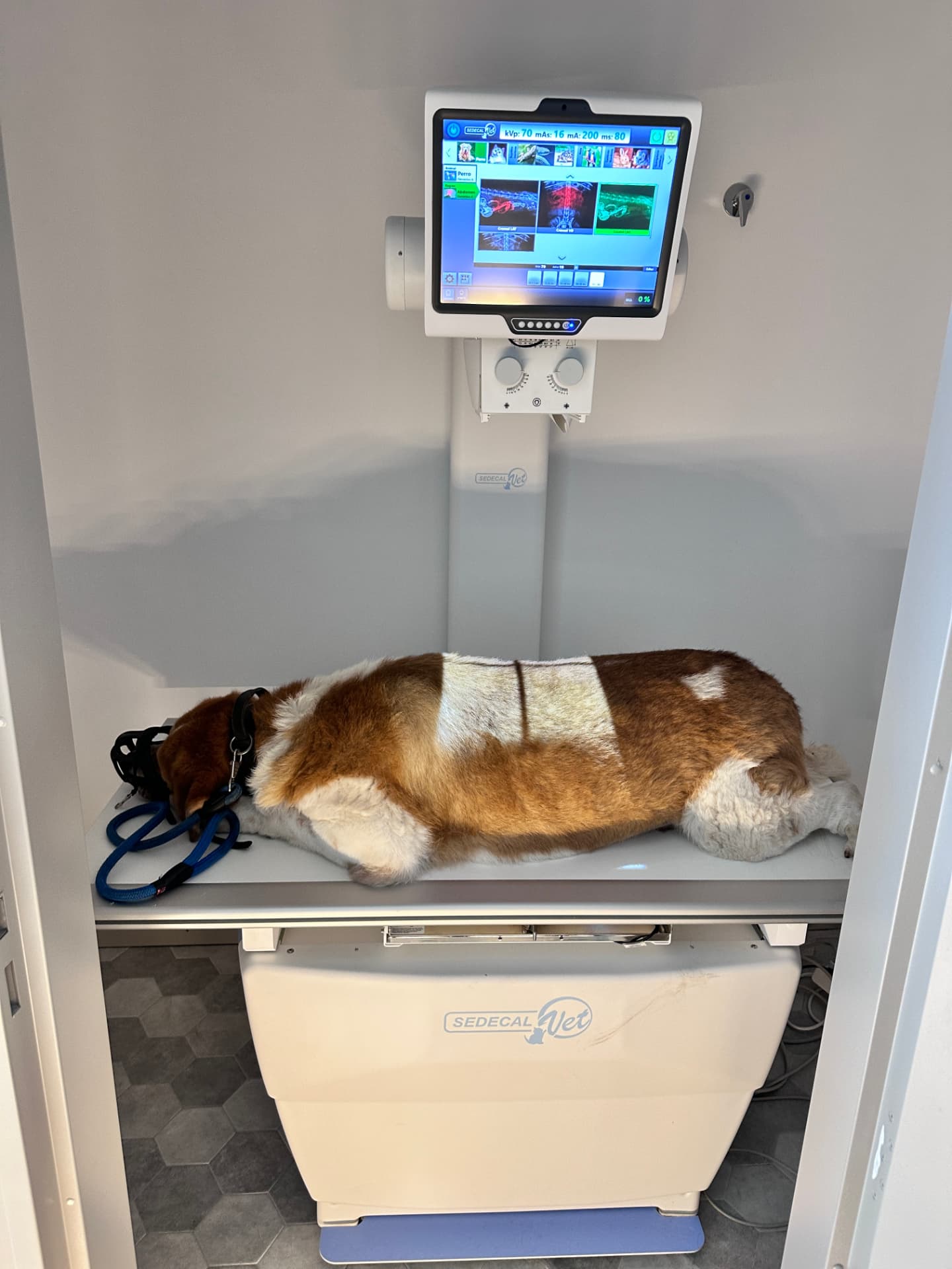 Equipo de radiología digital veterinaria