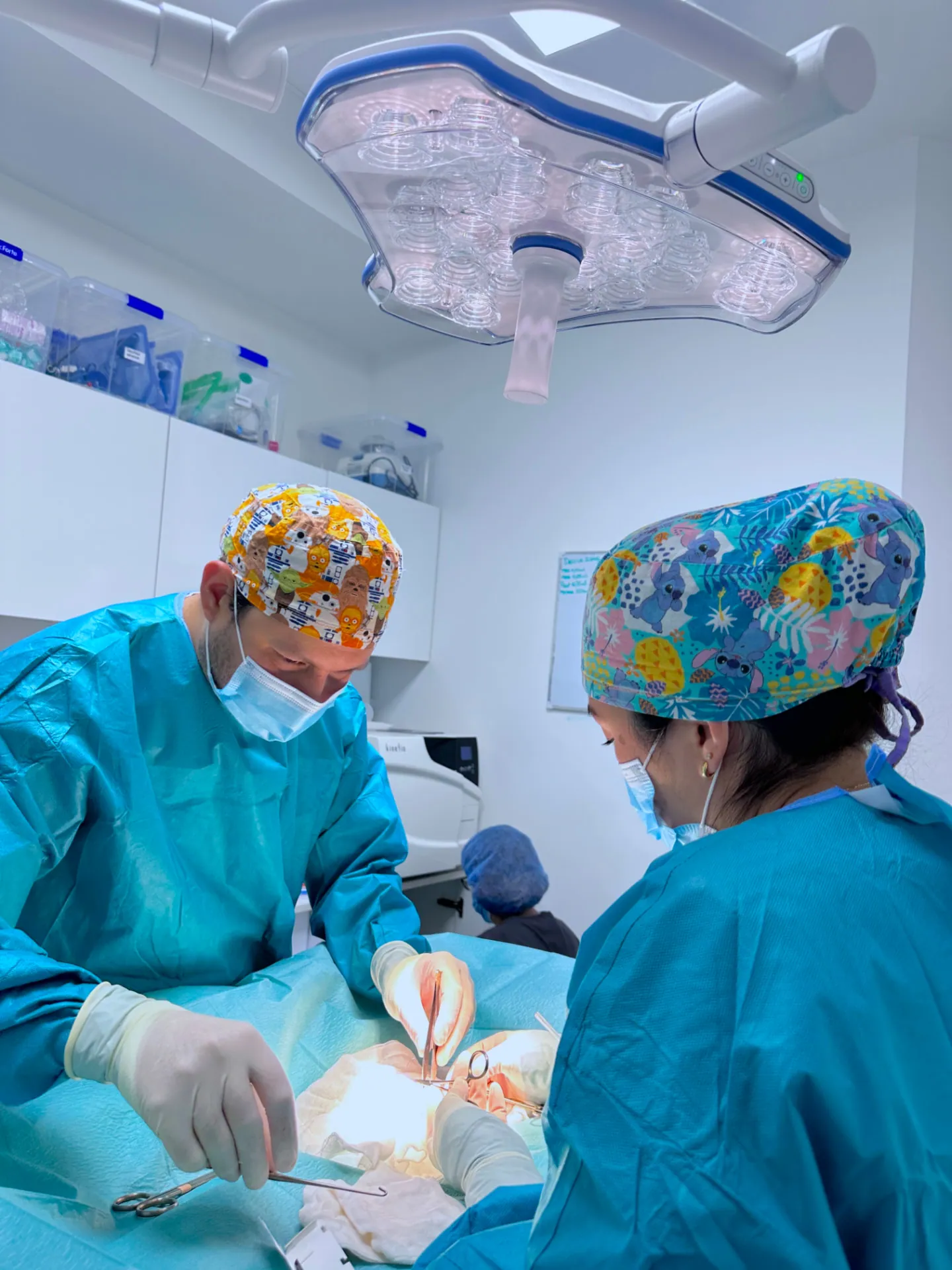 Surgical team operating at Clínica Veterinaria Tres Valles in Madrid