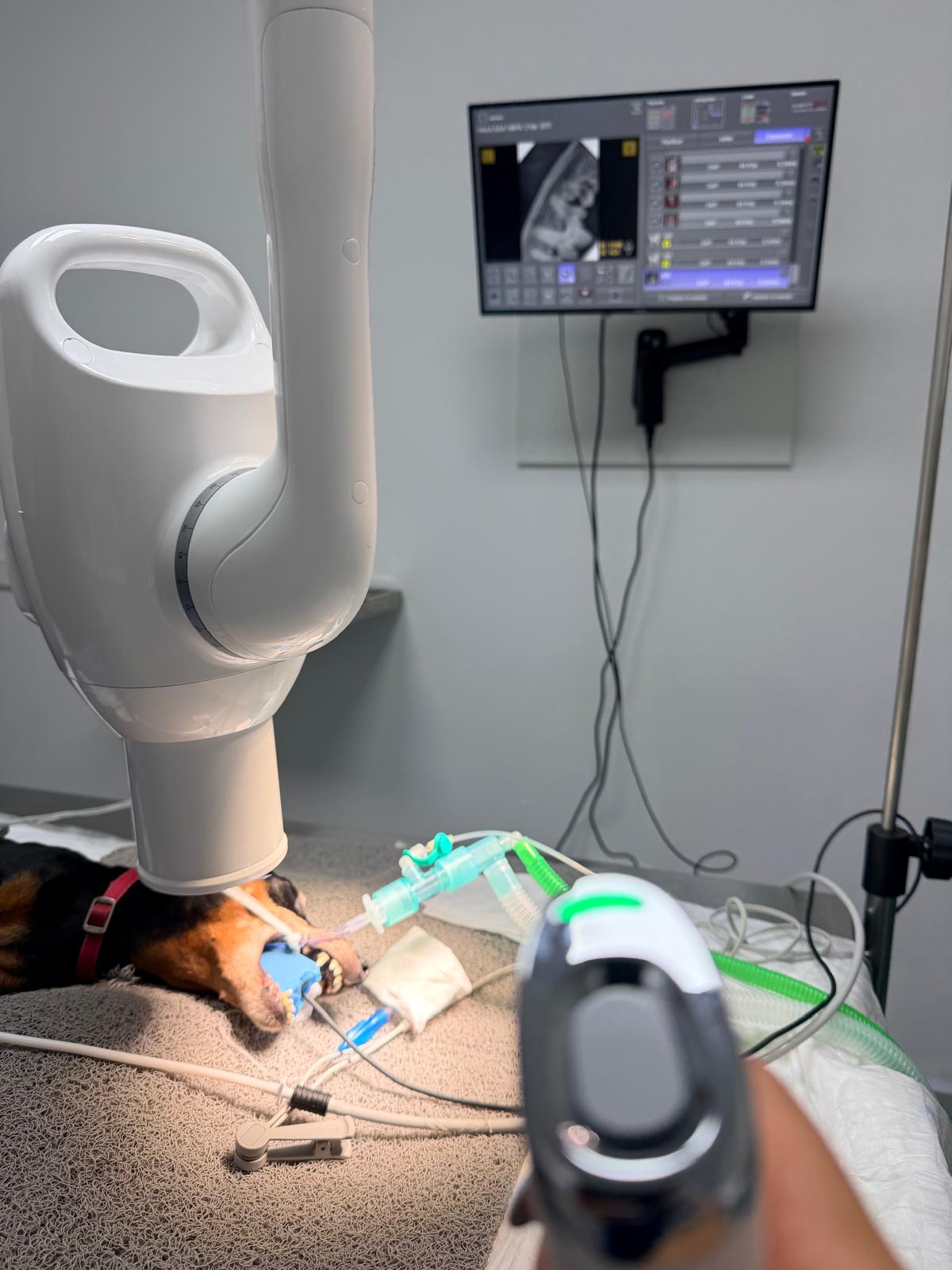 Equipo de radiografía dental y monitorización anestésica en quirófano de Tres Valles