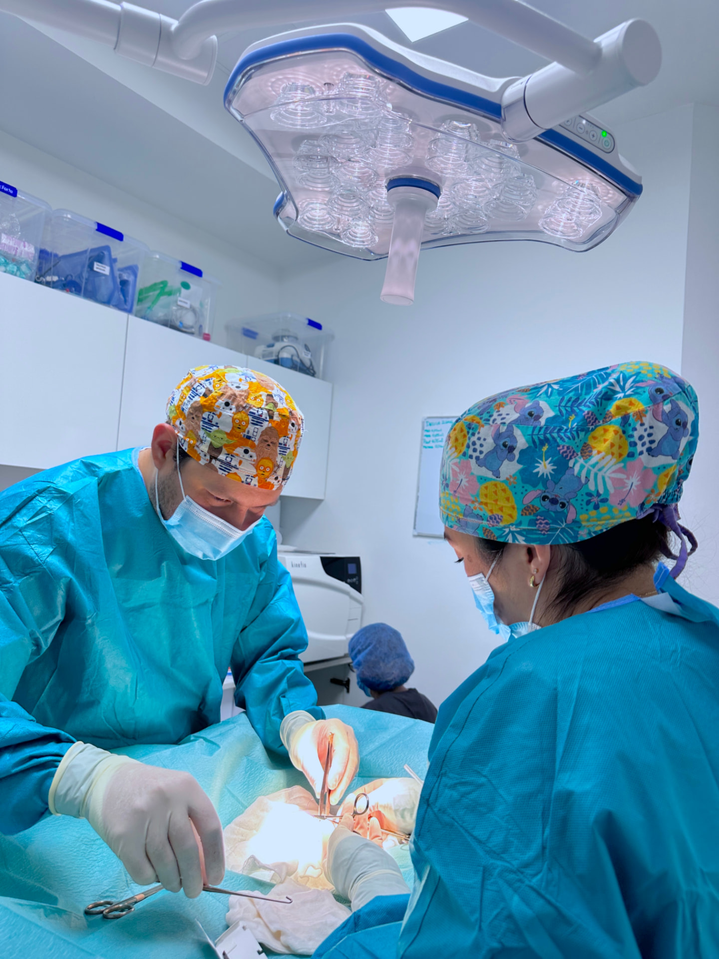 Equipo quirúrgico veterinario operando en el quirófano