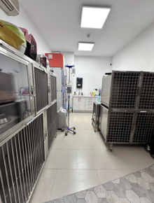 Zona de hospitalización veterinaria con jaulas independientes