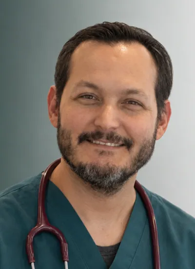 Dr. Miguel Huerta Oropeza, s.u.b. en gatos en Clínica Veterinaria Tres Valles, Pozuelo de Alarcón