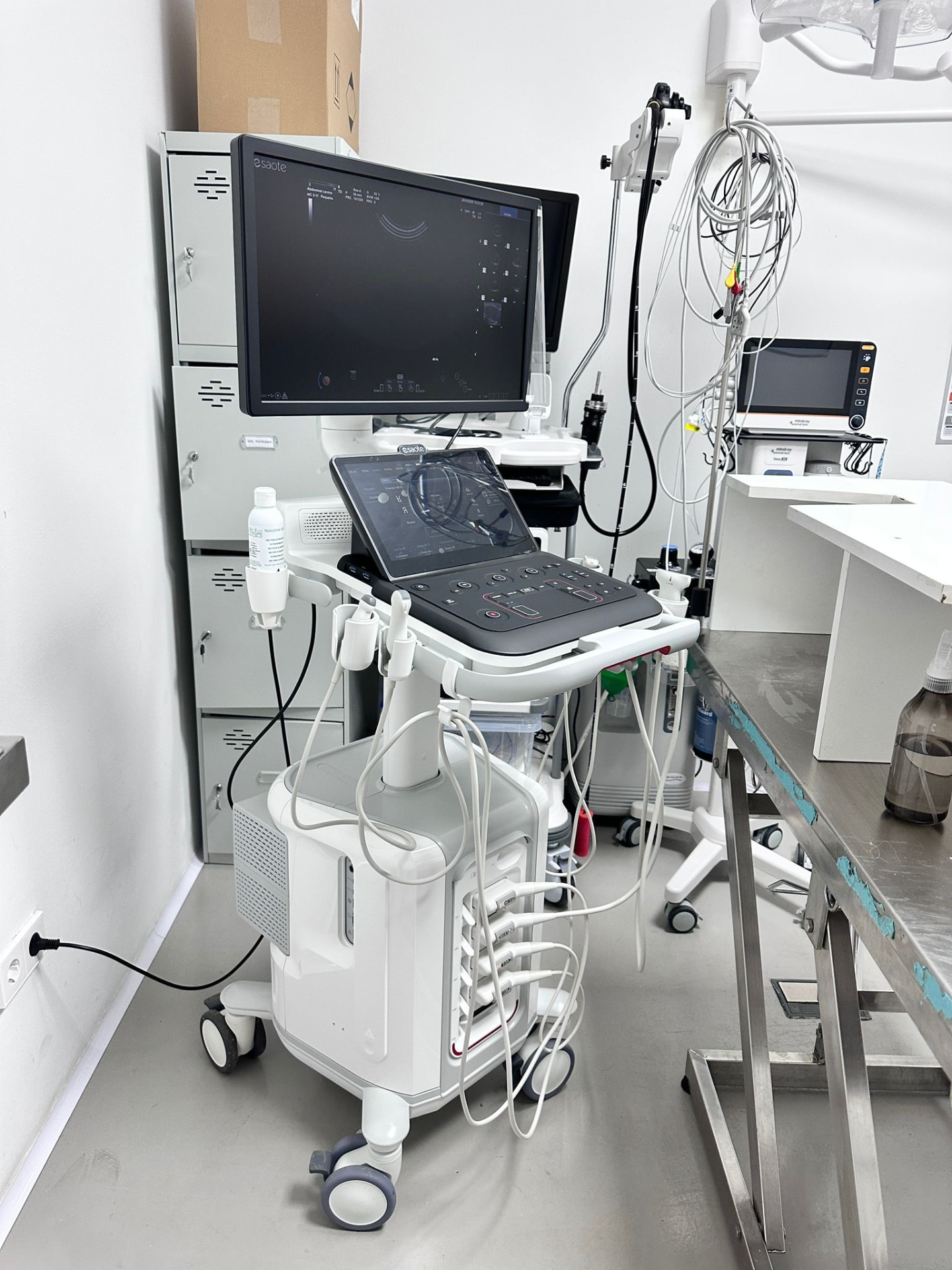 Ecógrafo de torre Esaote MyLab FOX en Clínica Veterinaria Tres Valles, Pozuelo de Alarcón