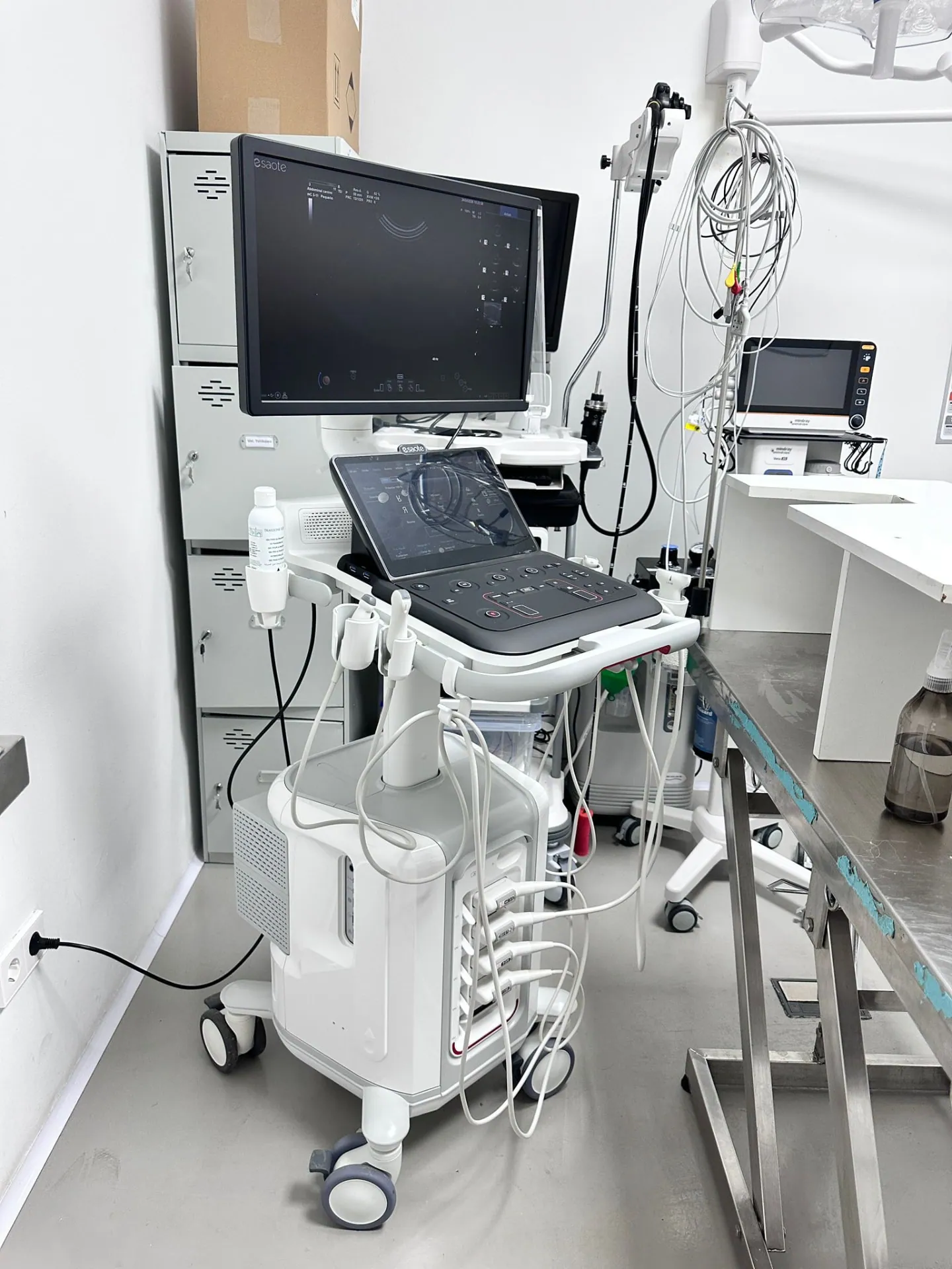 Ecógrafo de torre Esaote MyLab FOX en Clínica Veterinaria Tres Valles, Pozuelo de Alarcón